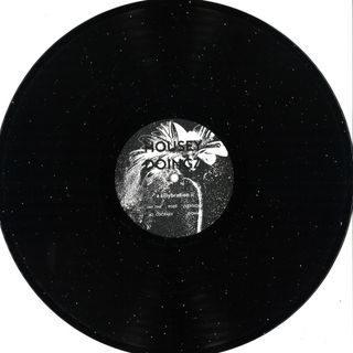 Housey Doingz — A Sillybration II vinyl cover