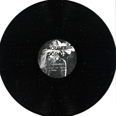 Housey Doingz — A Sillybration II vinyl cover