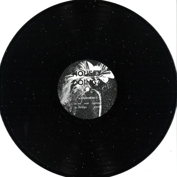 Housey Doingz — A Sillybration II vinyl cover