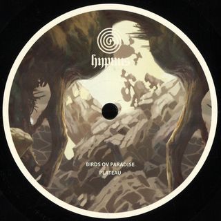 Birds ov Paradise — Plateau vinyl cover