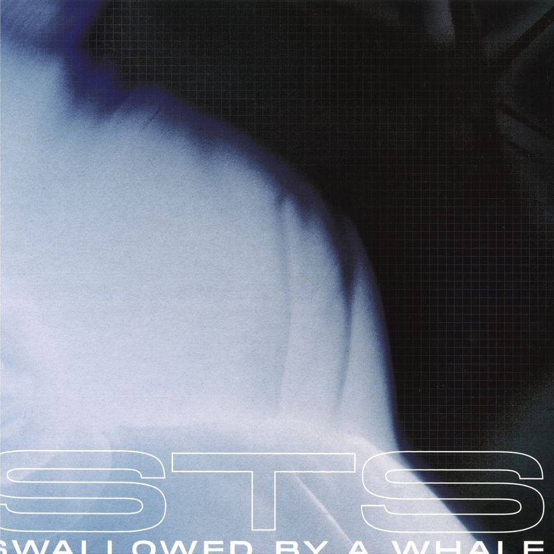 Sts — Swallowed By A Whale vinyl cover