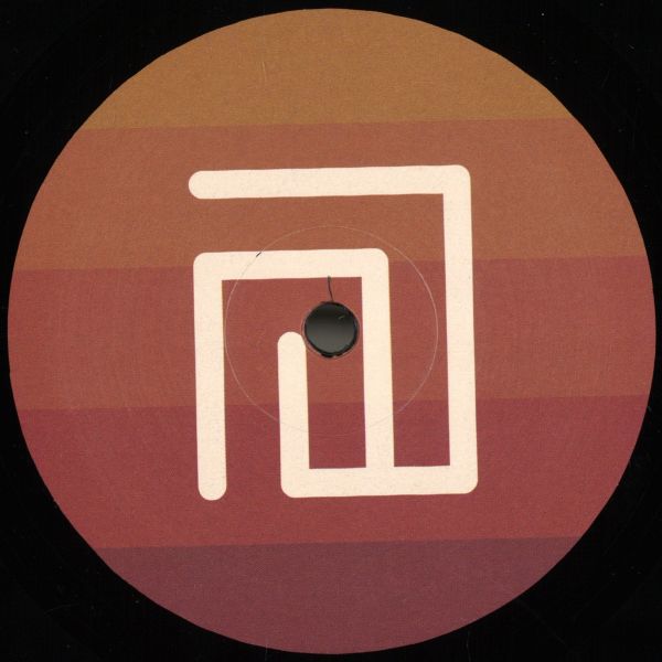 Stefan Vincent — The Auxiliary Phase vinyl cover