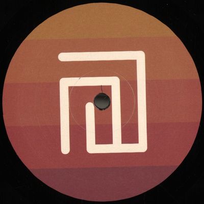 Stefan Vincent — The Auxiliary Phase vinyl cover