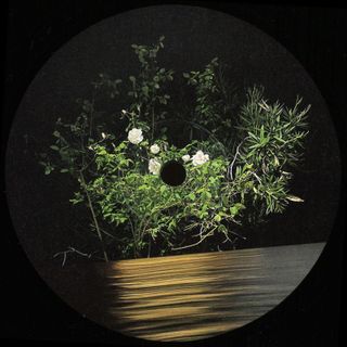 Ben La Desh — Fine Rise EP vinyl cover