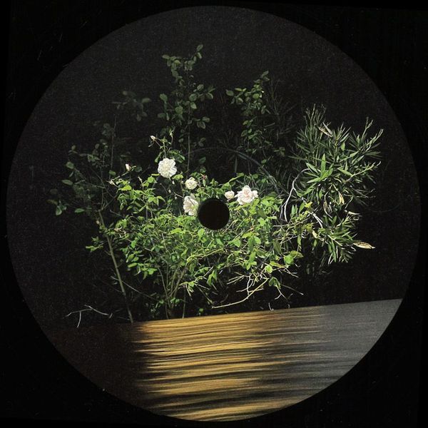 Ben La Desh — Fine Rise EP vinyl cover