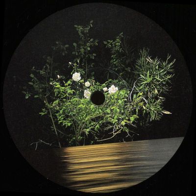 Ben La Desh — Fine Rise EP vinyl cover