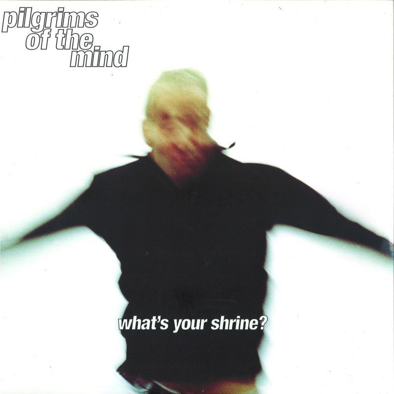 Pilgrims Of The Mind — What's Your Shrine? LP 2x12