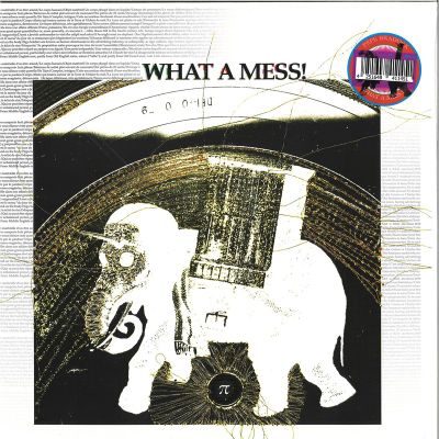 Pepe Bradock — What A Mess vinyl cover