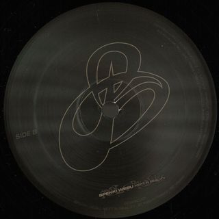 Spekki Webu — Kept In Reality vinyl cover