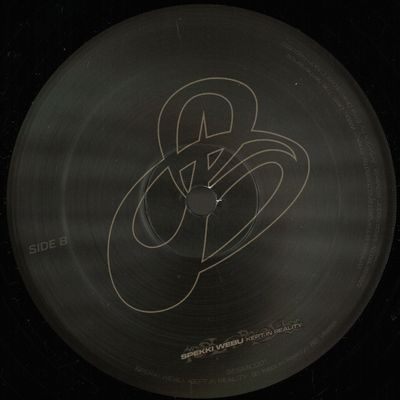 Spekki Webu — Kept In Reality vinyl cover