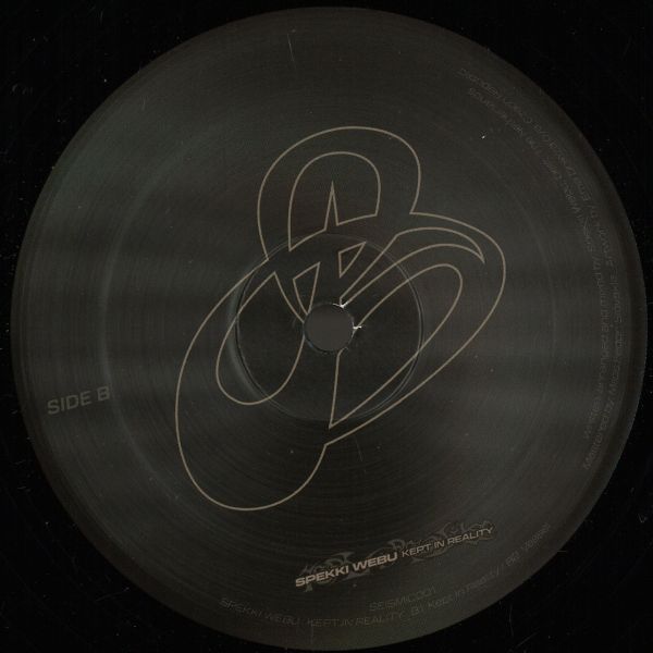 Spekki Webu — Kept In Reality vinyl cover
