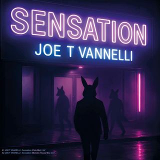 Joe T Vannelli