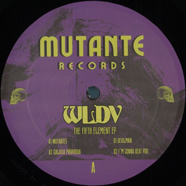 Wldv — The Fifth Element vinyl cover