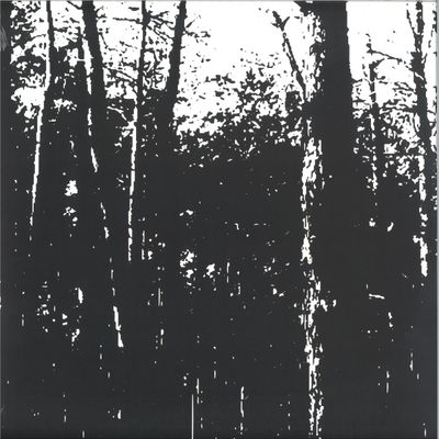 Sofus Forsberg — Cosmic Cycles vinyl cover