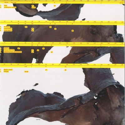 Awe Kid — Body Logic (2LP) vinyl cover