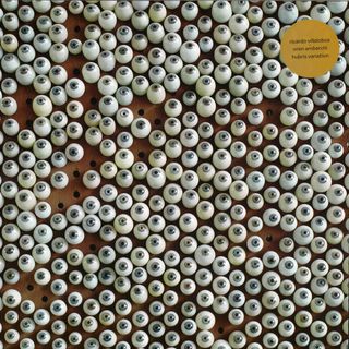 Ricardo Villalobos, Oren Ambarchi — Hubris Variation vinyl cover