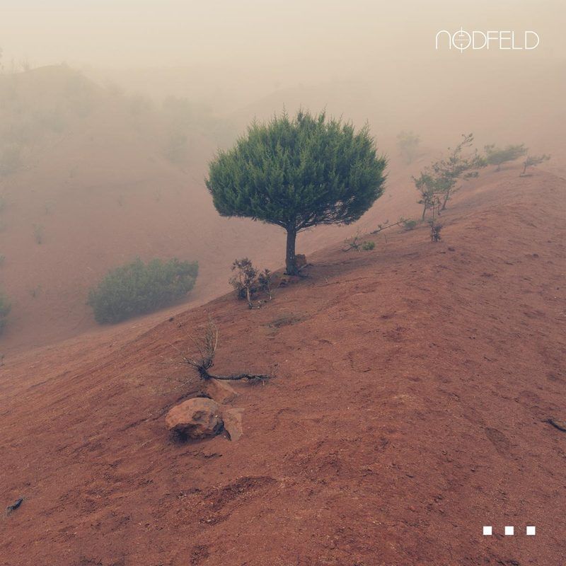 Nodfeld — Ellipsis vinyl cover