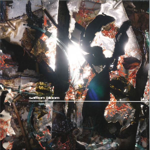 Saffron Bloom — Saffron Bloom LP vinyl cover