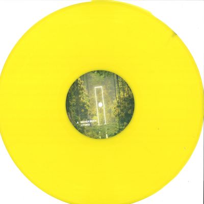 Gorje Hewek — Home vinyl cover
