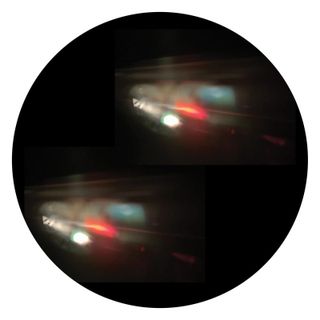 Tigerskin — Image vinyl cover