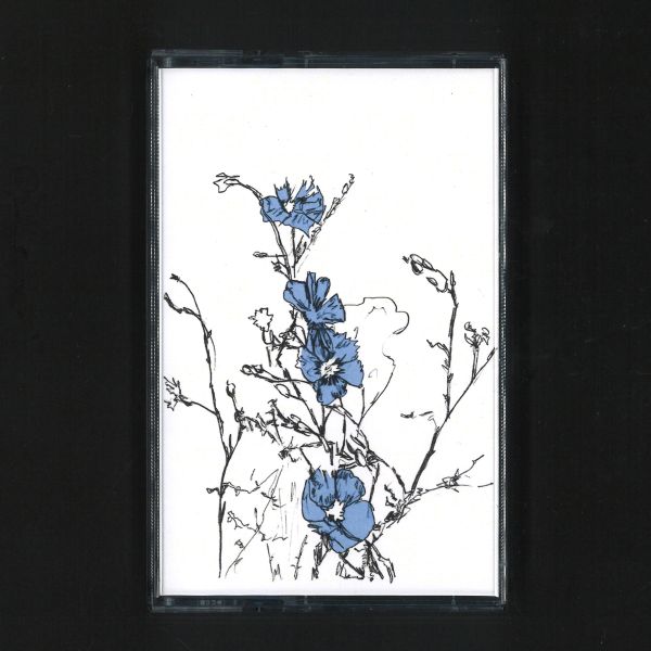 Graintable — Music to Watch Seeds Grow By 003: Graintable (Blue Flax) vinyl cover