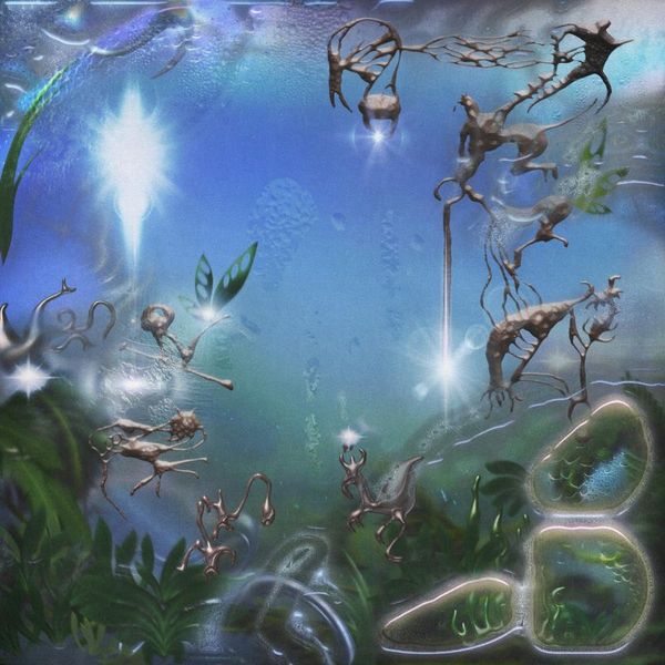 Pairi Daeza — Phosphene Island LP vinyl cover