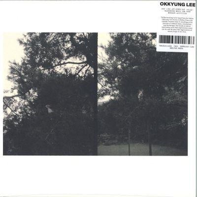 Unknown Artist — JUST LIKE ANY OTHER DAY vinyl cover