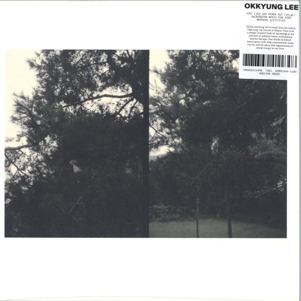 Unknown Artist — JUST LIKE ANY OTHER DAY vinyl cover