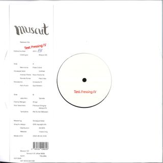 Various — TEST PRESSING IV LP vinyl cover
