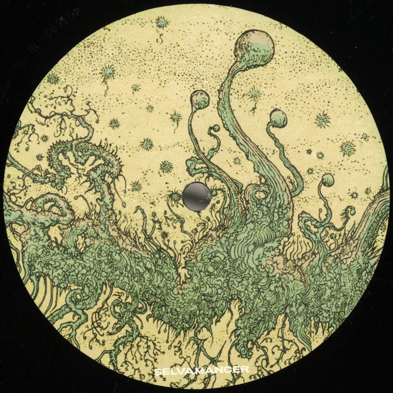Hedge Maze — Riding The Wave EP vinyl cover
