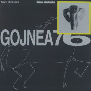 Gojnea76 — Punisher Braila vinyl cover