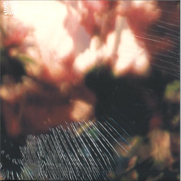 Euphonic Alliances Ltd. — Peace is it in You ? vinyl cover