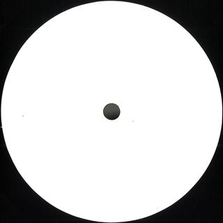 Nicolò — Adapting To A Different System Not Using Technology vinyl cover
