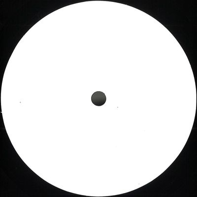 Nicolò — Adapting To A Different System Not Using Technology vinyl cover