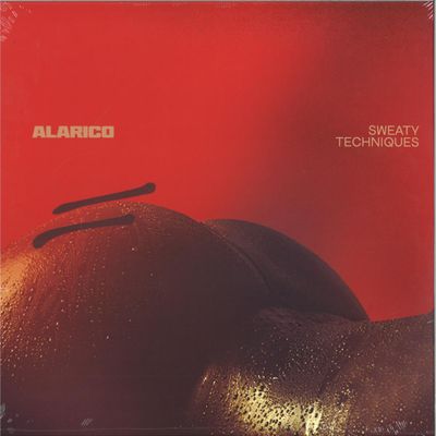 Alarico — Sweaty Techniques 2x12" vinyl cover