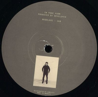 Developer — In Pure Form Part 2 vinyl cover