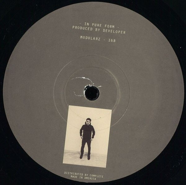 Developer — In Pure Form Part 2 vinyl cover