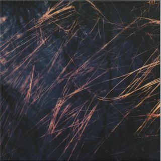 Zake, Rhubiqs — Hild vinyl cover