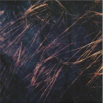 Zake, Rhubiqs — Hild vinyl cover