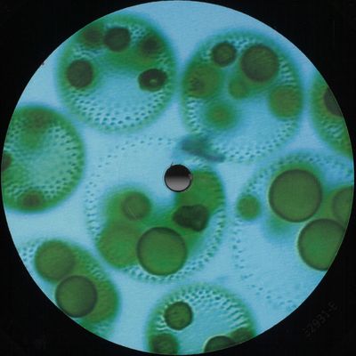 Trajano — Fórmulas EP vinyl cover