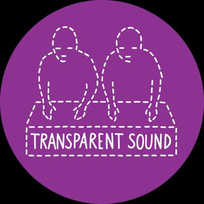 Transparent Sound — No Call From New York vinyl cover