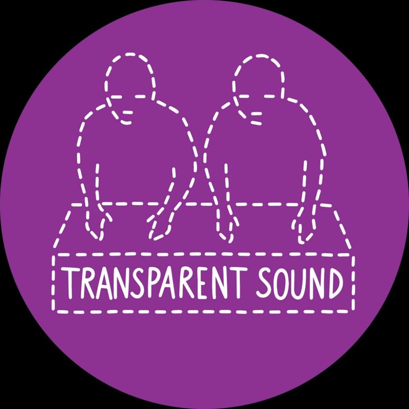 Transparent Sound — No Call From New York vinyl cover