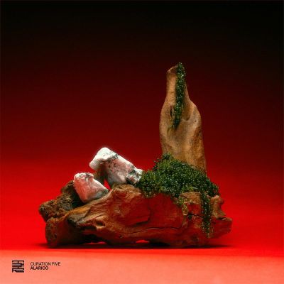 Various — Curation Five: Alarico vinyl cover