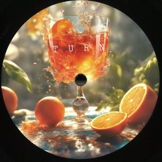 Friebe/Puestel — Turn/Grow vinyl cover