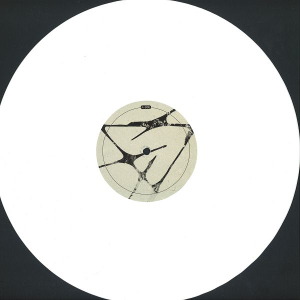 Adrian Roman — This Is What I Was For A Moment vinyl cover