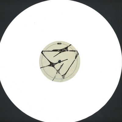 Adrian Roman — This Is What I Was For A Moment vinyl cover