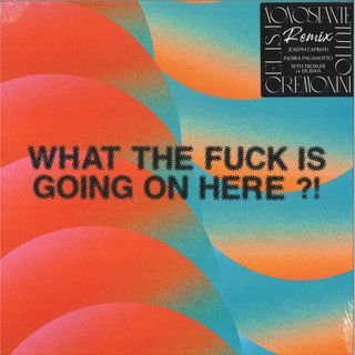 Cesare Cremonini - Elisa - What The Fuck IS Going ON Here ?!