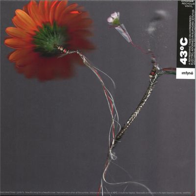 Basile3 — 43°C LP vinyl cover