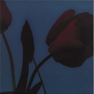 Various — A Model Kit vinyl cover