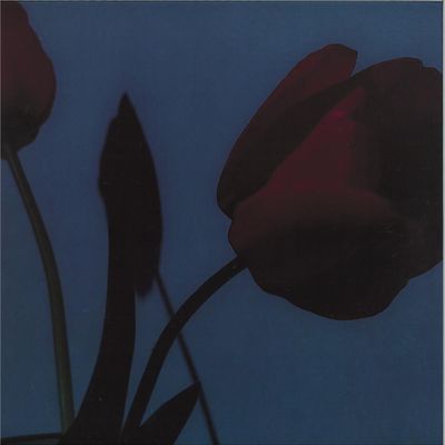 Various — A Model Kit vinyl cover
